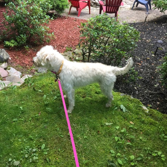 Meet your Posher, Caroline - Picture 1 of 1